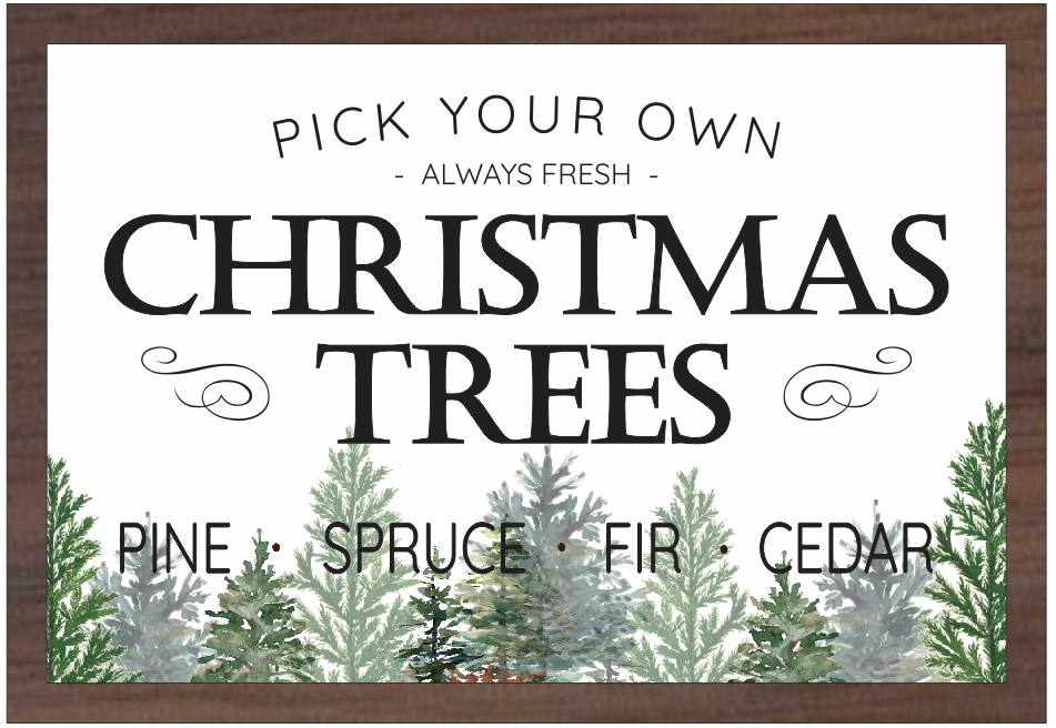 Pick Your Own Christmas Trees Willow Hill Designs